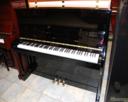 Bohemia 113 Menuet Studio Piano