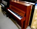Bohemia 113 Menuet Upright Studio Piano
