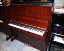 Bohemia 125A Professional Upright Piano