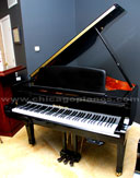 Hallet Davis 146C Grand Piano from Chicago Pianos . com