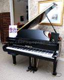 Hallet Davis 152C Grand Piano from Chicago Pianos . com