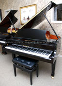 Hallet Davis 165C Grand Piano from Chicago Pianos . com