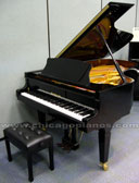 Hallet Davis H-165C Grand Piano from Chicago Pianos . com