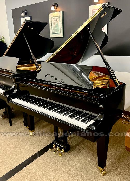 Schimmel-510-EP