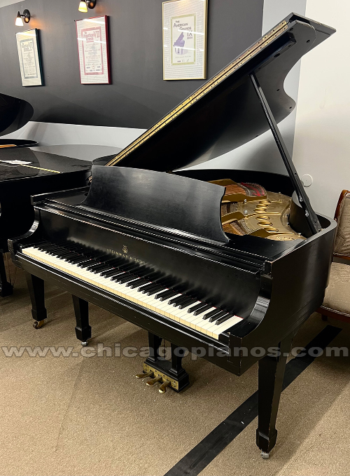 Steinway-M-ES-v4