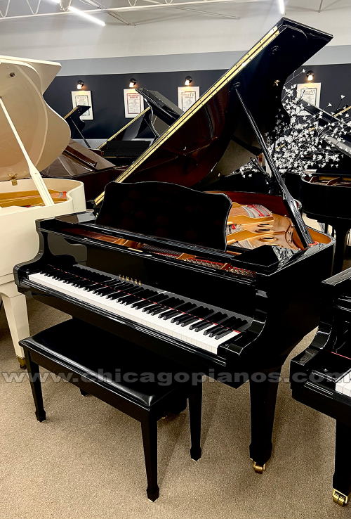 Yamaha-C2-EP-v3