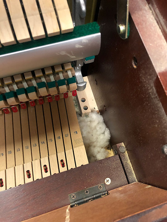 Mouse Nest Inside Piano