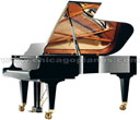 Palatino PGD-72T Grand Piano Chicago