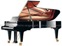 Palatino PGD-90T Grand Piano Chicago
