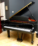 Palatino PGD59T-BKG Piano Chicago