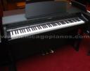 Roland HP203