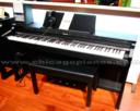 Roland HP302