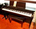 Roland HP305