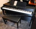 Roland HP305