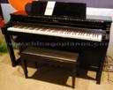 Roland HP307