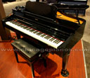 Roland RG3M
