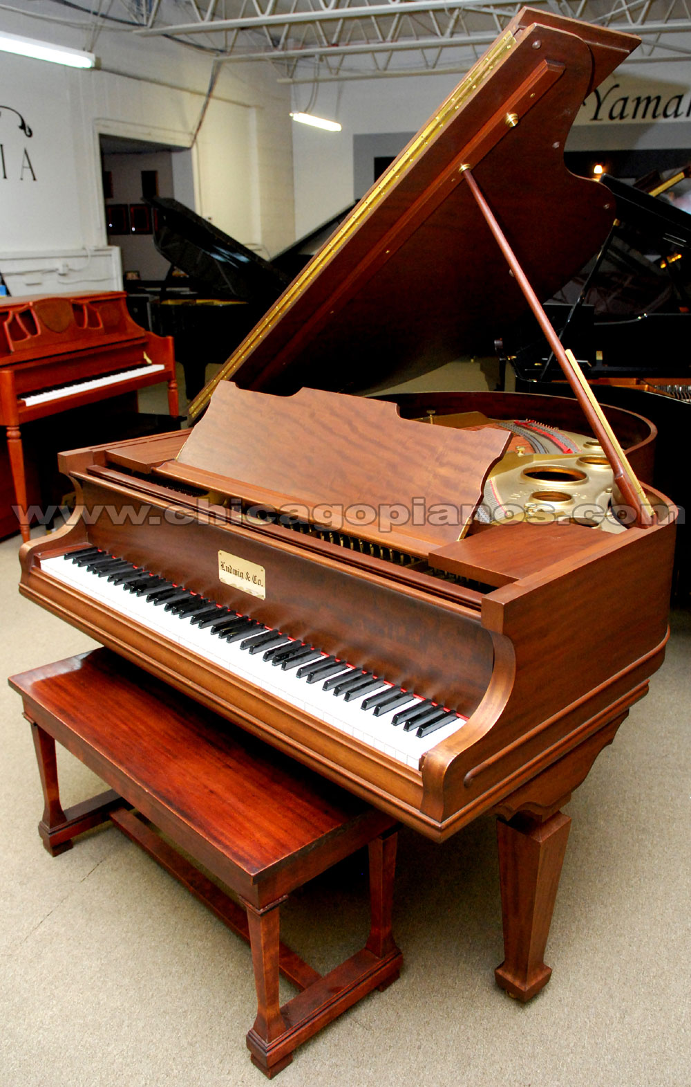 Ludwig Pianos