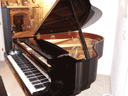 Kawai Rx-2