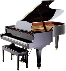 Yamaha C7