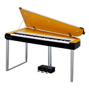 Yamaha MODUS HO1 Amber Glow