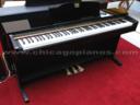 yamaha clp220