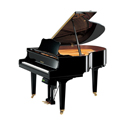 yamaha dgc1b