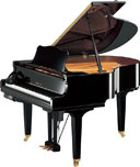 Yamaha DGC2E3
