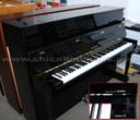 Yamaha Cable-Nelson CN116PE