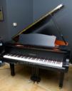 Yamaha C2