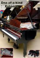 Estonia 190 6'3" Hidden Beauty Grand Piano