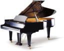 Bohemia 225BR Grand Piano