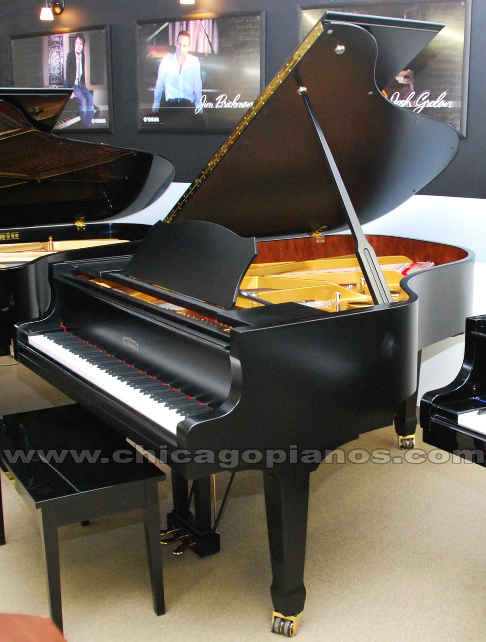 Estonia 190 Ebony Satin Grand Piano from Chicago Pianos . com