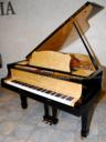 Estonia 168 Hidden Beauty Grand Piano with karelia