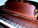 Estonia 168 Grand Piano in Satin Walnut