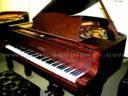 Estonia 190SB Grand Piano Satin Bubinga